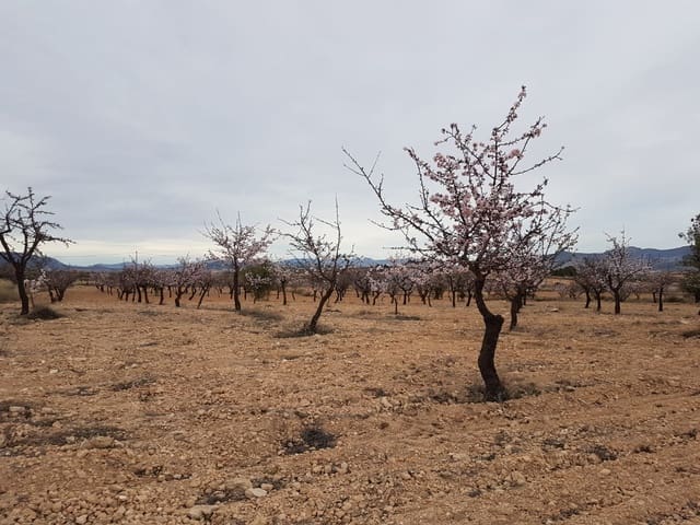 Terreno Não Urbanizado para venda em Jumilla - 55 000 € (Ref: 5912733)