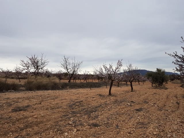 Terreno Não Urbanizado para venda em Jumilla - 55 000 € (Ref: 5912733)