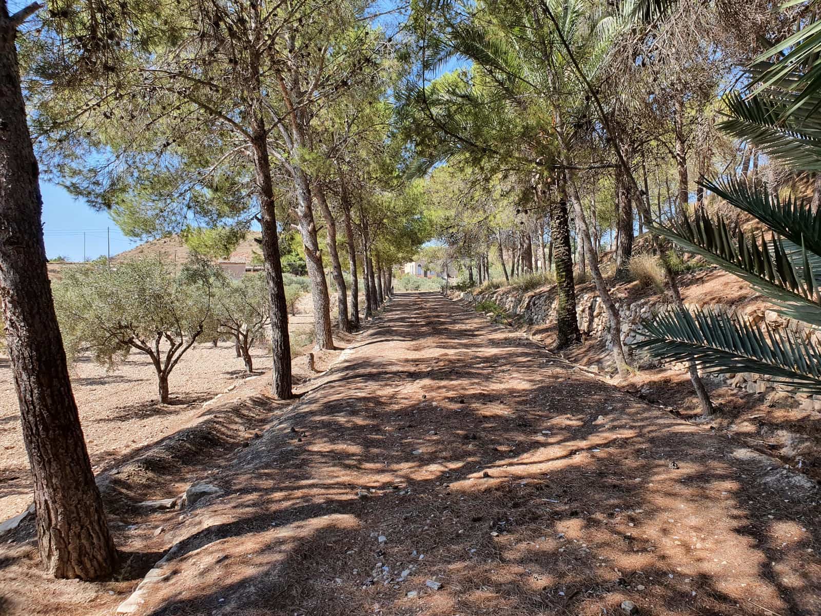 5 camera da letto Finca/Casa di Campagna in vendita in Monovar / Monover con piscina - 370.000 € (Rif: 6261232)