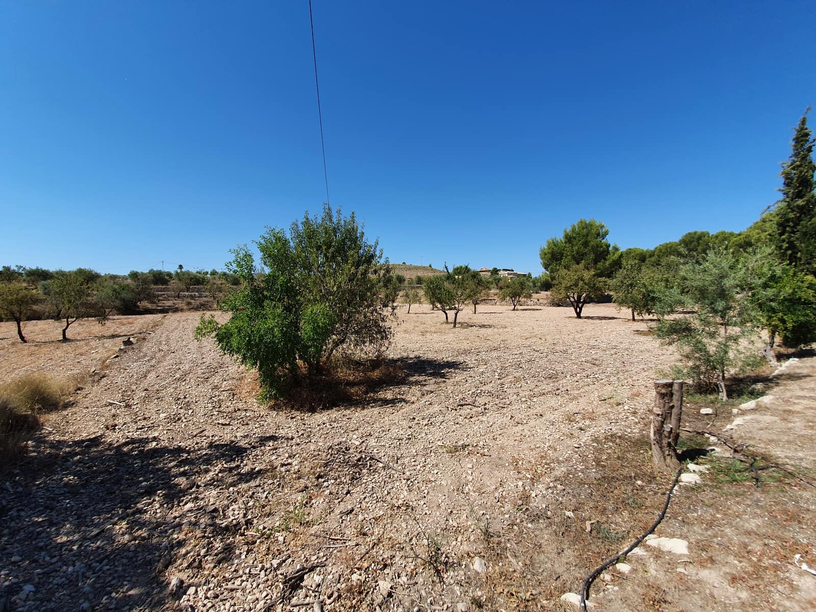 5 camera da letto Finca/Casa di Campagna in vendita in Monovar / Monover con piscina - 370.000 € (Rif: 6261232)