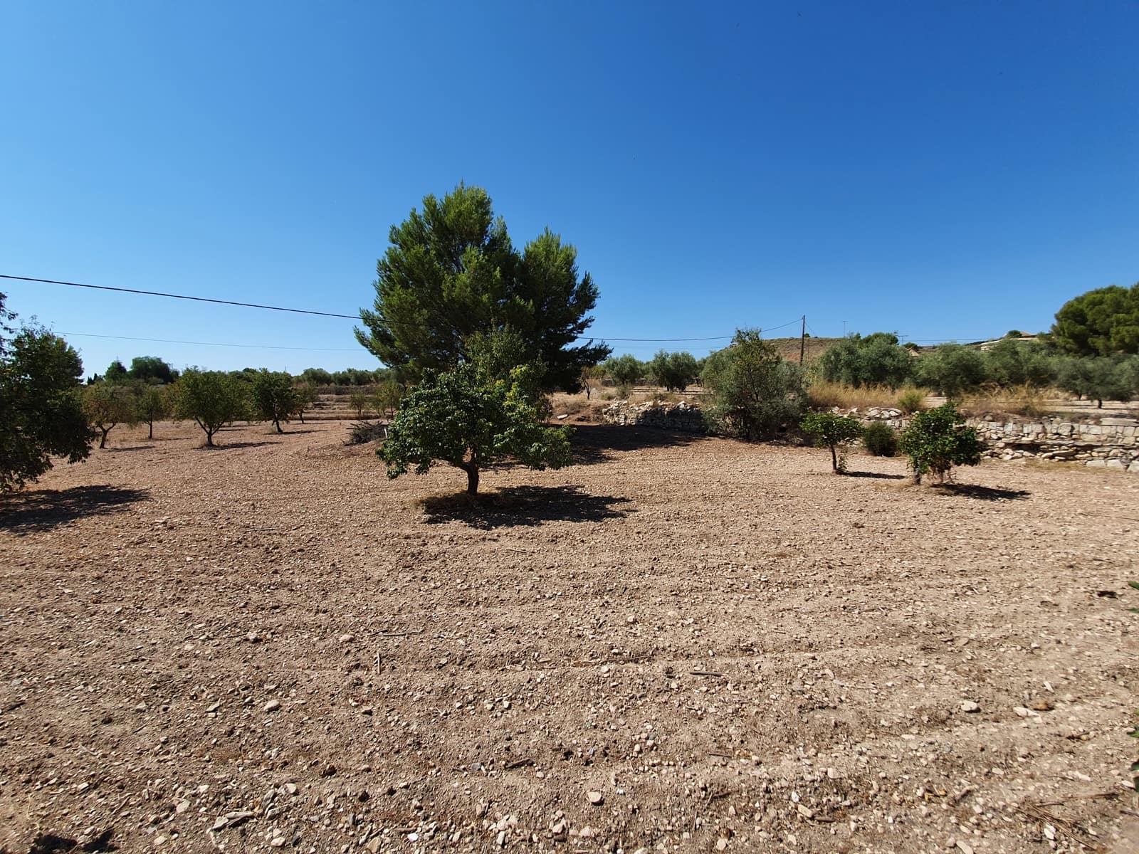 5 camera da letto Finca/Casa di Campagna in vendita in Monovar / Monover con piscina - 370.000 € (Rif: 6261232)