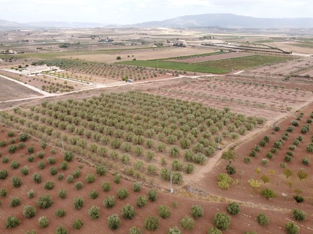 Grunde uden byggetilladelser til salg i Pinoso - € 74.000 (Ref: 6272978)