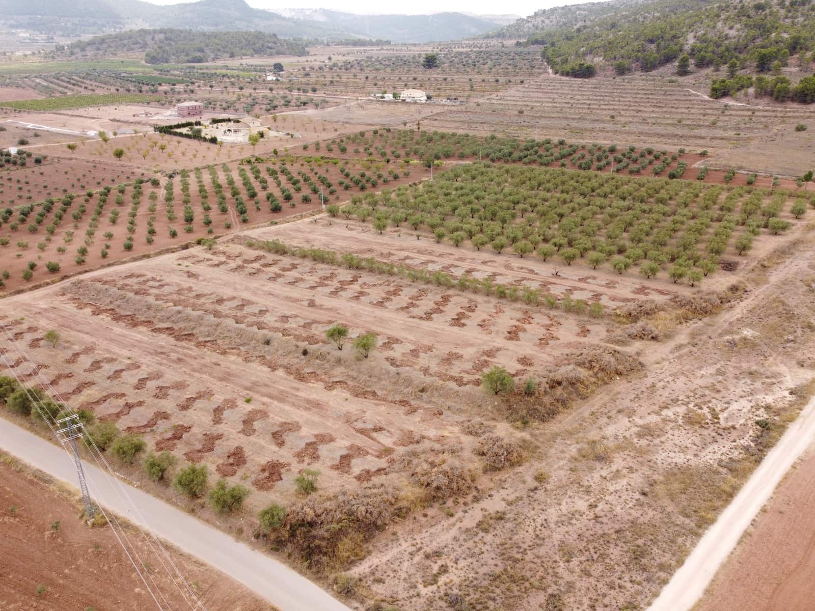 Undeveloped Land for sale in Pinoso - € 74,000 (Ref: 6272978)