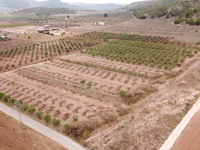 Grunde uden byggetilladelser til salg i Pinoso - € 74.000 (Ref: 6272978)