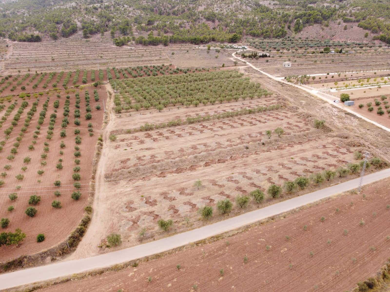 Undeveloped Land for sale in Pinoso - € 74,000 (Ref: 6272978)