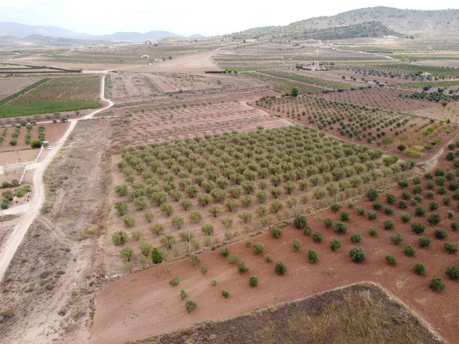 Undeveloped Land for sale in Pinoso - € 74,000 (Ref: 6272978)