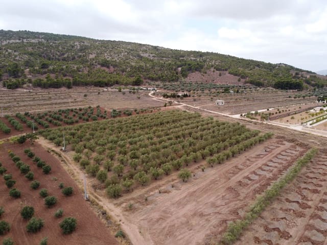 Grunde uden byggetilladelser til salg i Pinoso - € 74.000 (Ref: 6272978)