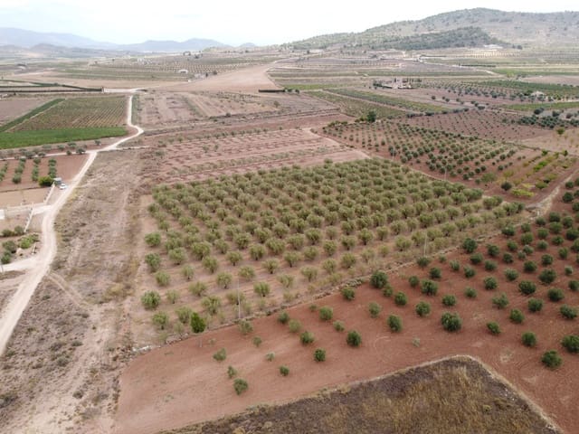 Grunde uden byggetilladelser til salg i Pinoso - € 74.000 (Ref: 6272978)