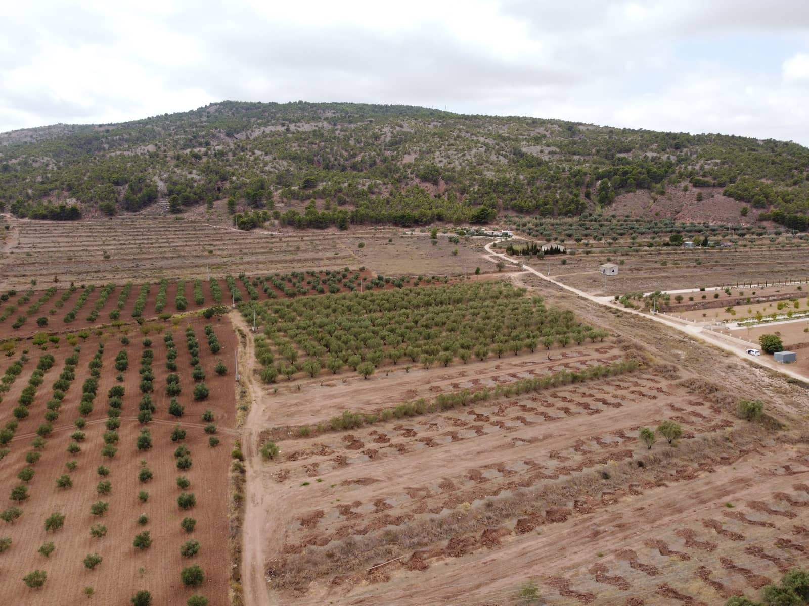 Undeveloped Land for sale in Pinoso - € 74,000 (Ref: 6272978)