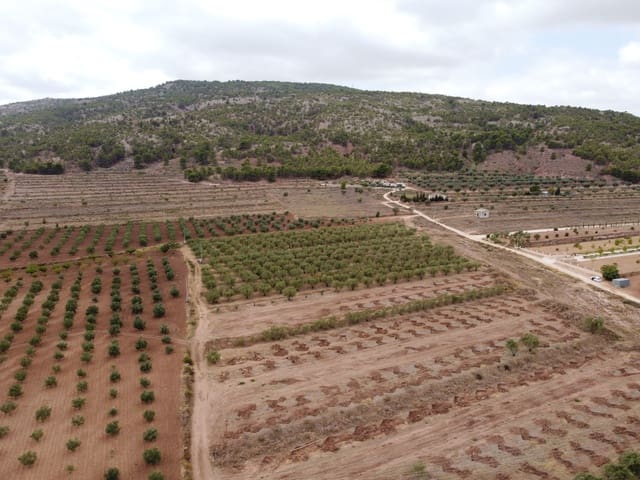 Grunde uden byggetilladelser til salg i Pinoso - € 74.000 (Ref: 6272978)