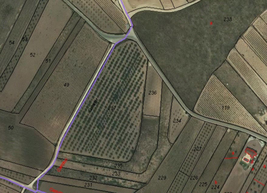 Undeveloped Land for sale in Pinoso - € 84,000 (Ref: 6272979)