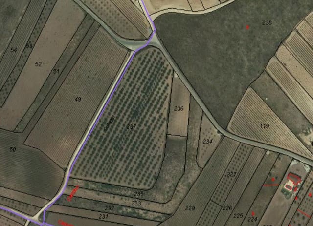 Mark till salu i Pinoso - 84 000 € (Ref: 6272979)