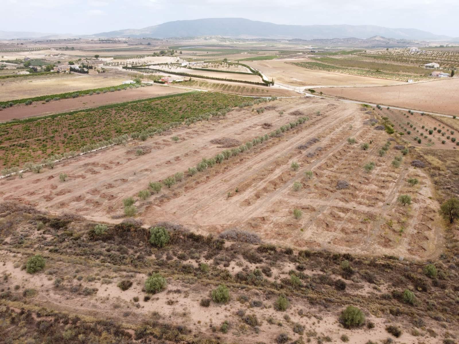 Undeveloped Land for sale in Pinoso - € 84,000 (Ref: 6272979)