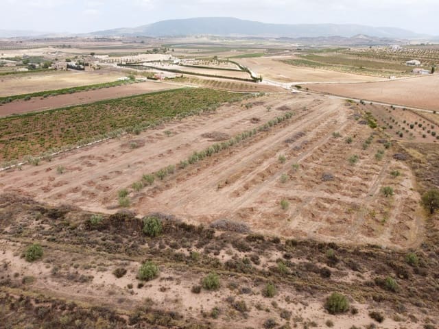 Mark till salu i Pinoso - 84 000 € (Ref: 6272979)