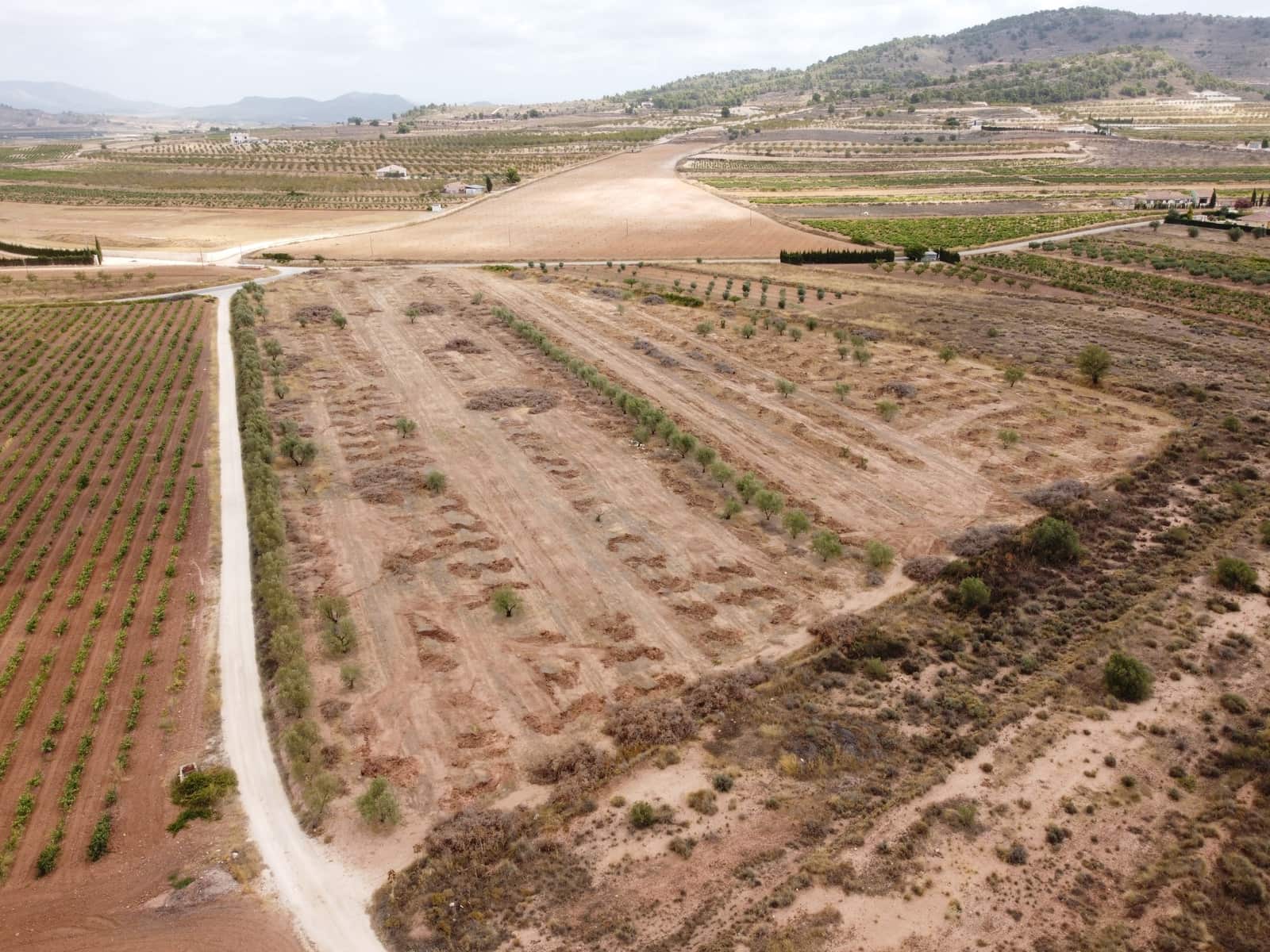 Undeveloped Land for sale in Pinoso - € 84,000 (Ref: 6272979)