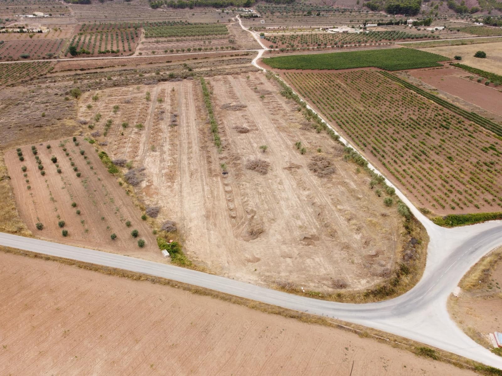 Undeveloped Land for sale in Pinoso - € 84,000 (Ref: 6272979)