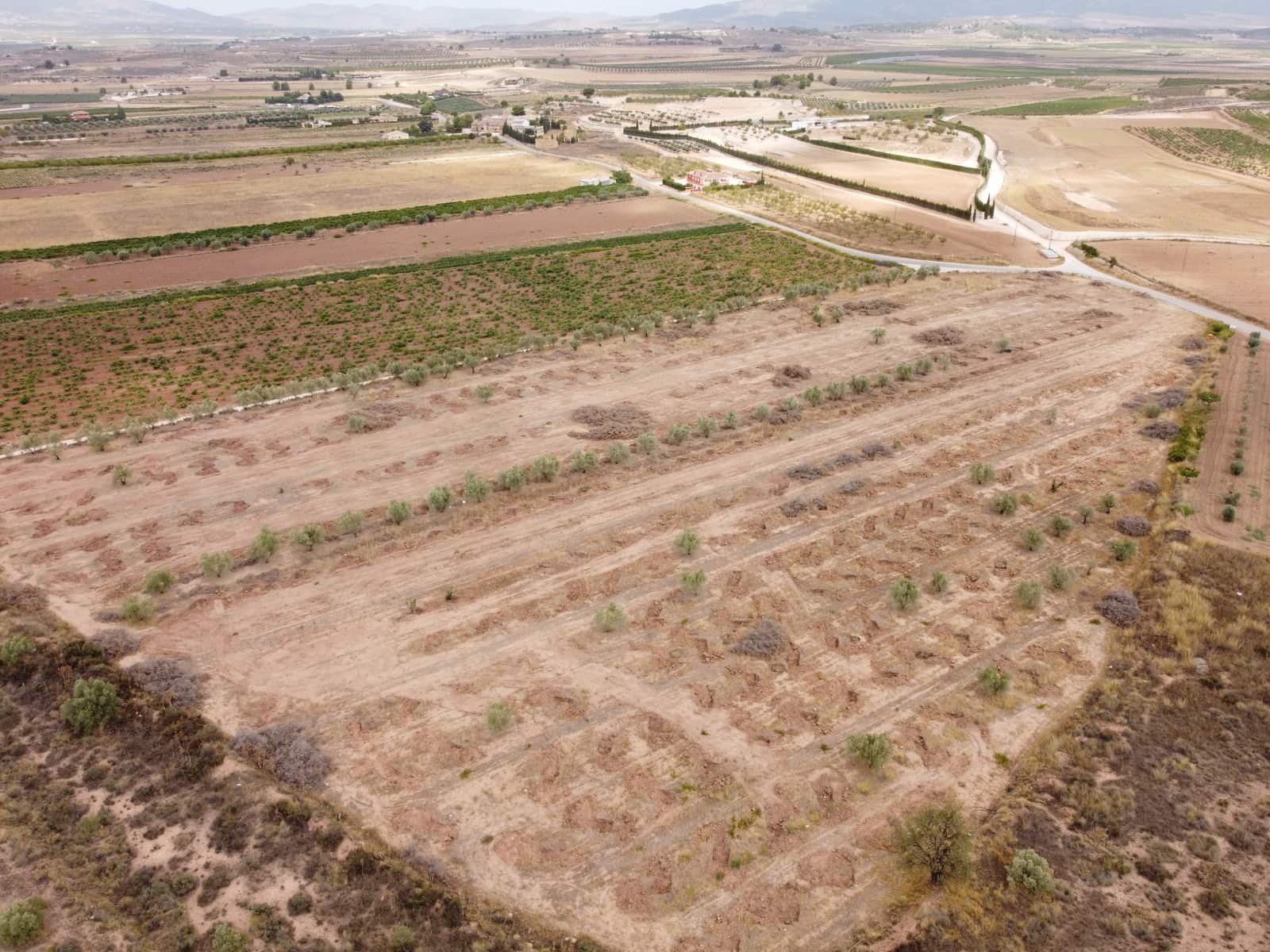 Undeveloped Land for sale in Pinoso - € 84,000 (Ref: 6272979)