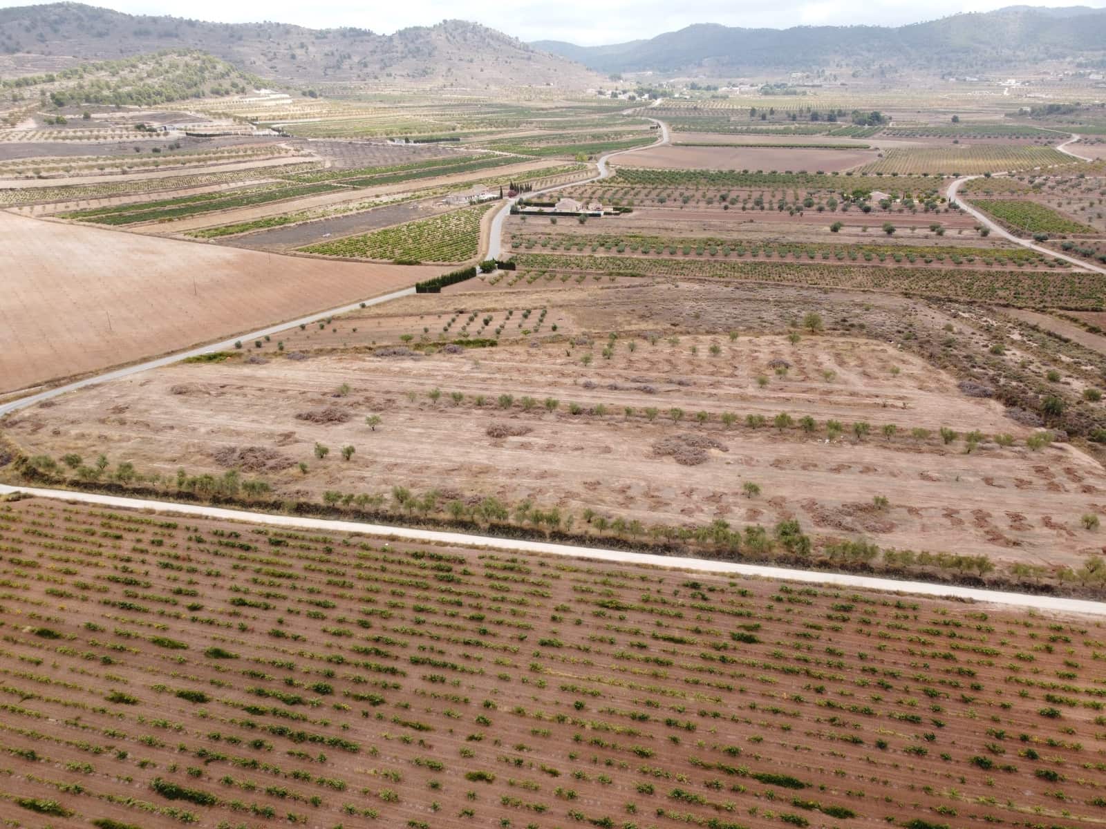 Undeveloped Land for sale in Pinoso - € 84,000 (Ref: 6272979)