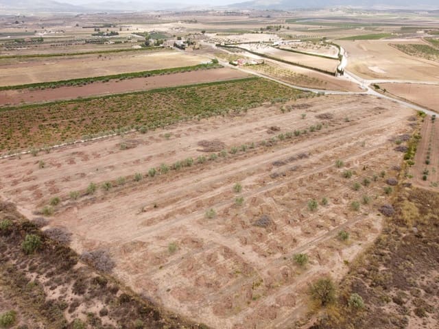 Mark till salu i Pinoso - 84 000 € (Ref: 6272979)