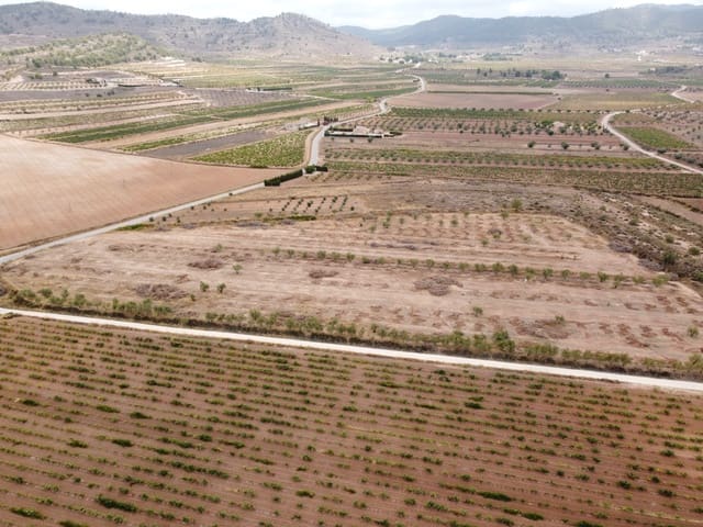 Mark till salu i Pinoso - 84 000 € (Ref: 6272979)