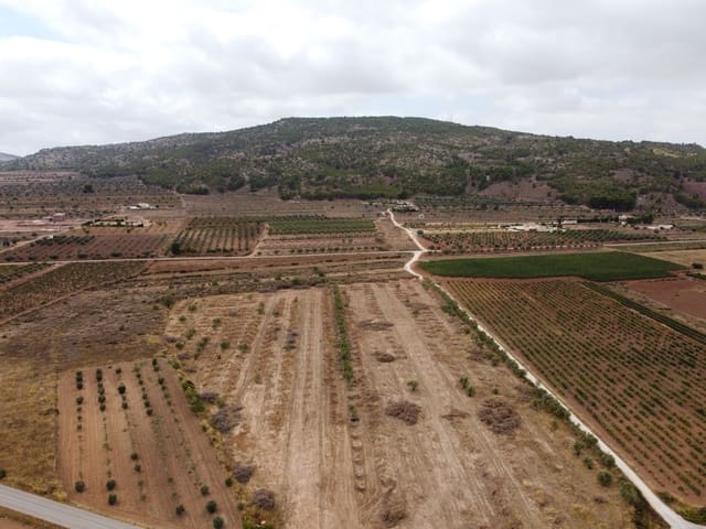 Mark till salu i Pinoso - 84 000 € (Ref: 6272979)