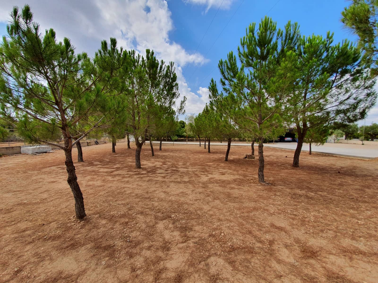 4 soveværelse Villa til salg i Yecla med swimmingpool - € 360.000 (Ref: 6303440)