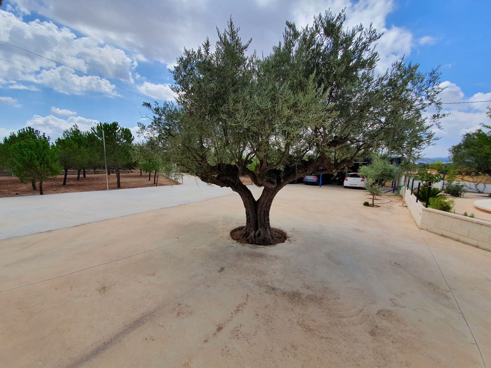 4 soveværelse Villa til salg i Yecla med swimmingpool - € 360.000 (Ref: 6303440)