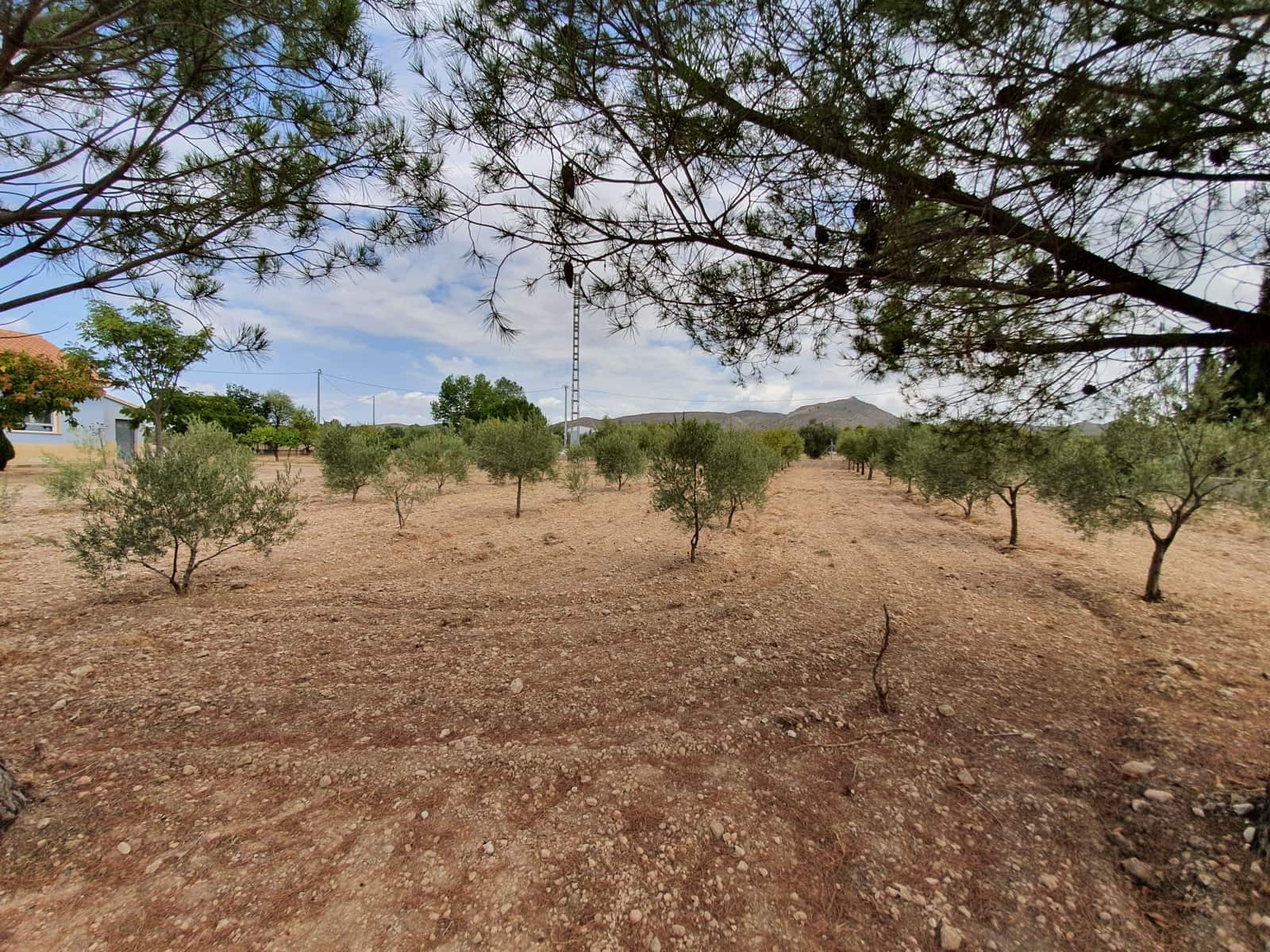 4 soveværelse Villa til salg i Yecla med swimmingpool - € 360.000 (Ref: 6303440)