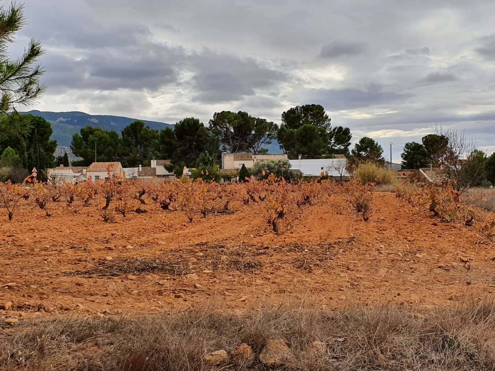 2 soveværelse Finca/Landehus til salg i Yecla med swimmingpool - € 55.000 (Ref: 6453598)