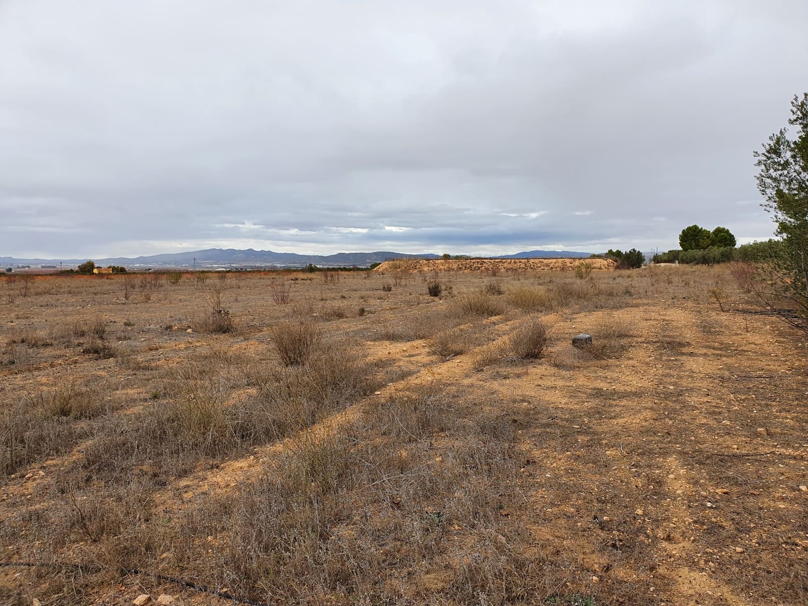 2 soveværelse Finca/Landehus til salg i Yecla med swimmingpool - € 55.000 (Ref: 6453598)