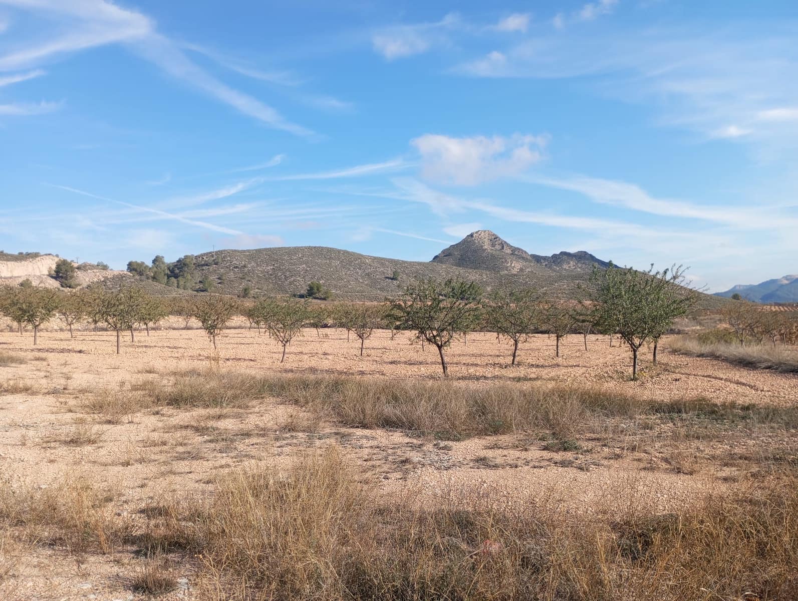 3 sypialnia Willa na sprzedaż w Jumilla z basenem - 319 500 € (Ref: 6457842)