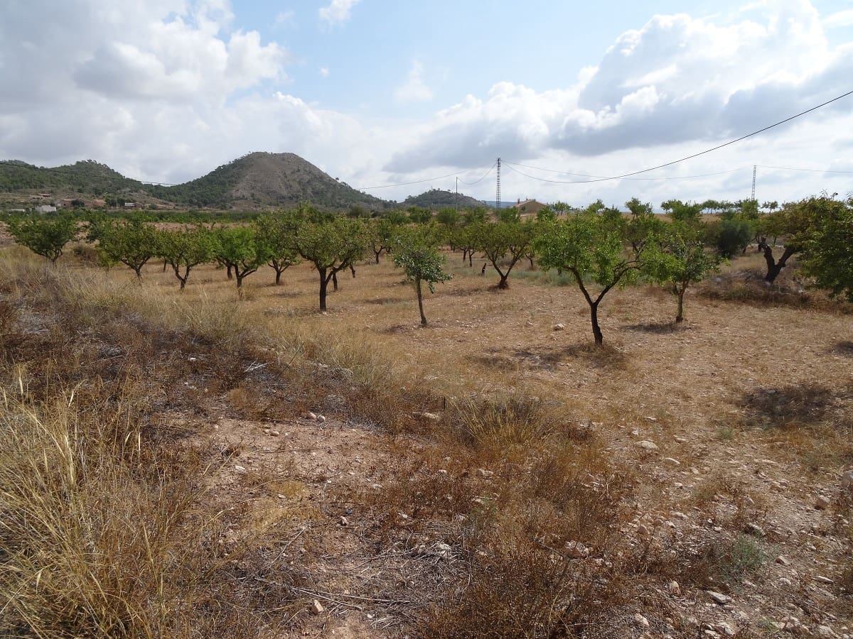 3 camera da letto Finca/Casa di Campagna in vendita in Ubeda con piscina - 135.000 € (Rif: 6758885)