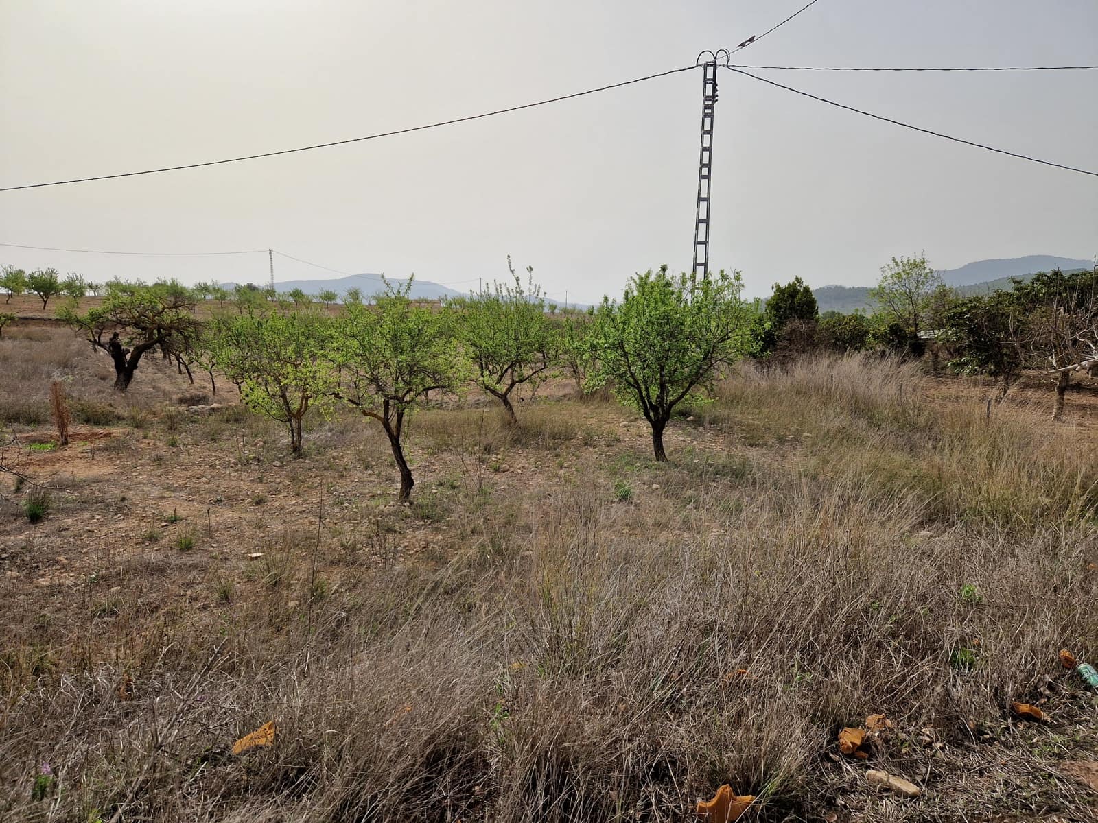 3 camera da letto Finca/Casa di Campagna in vendita in Ubeda con piscina - 135.000 € (Rif: 6758885)