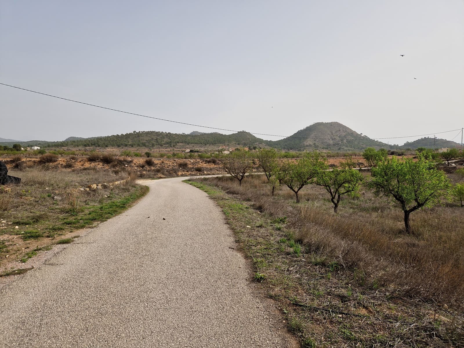 3 camera da letto Finca/Casa di Campagna in vendita in Ubeda con piscina - 135.000 € (Rif: 6758885)