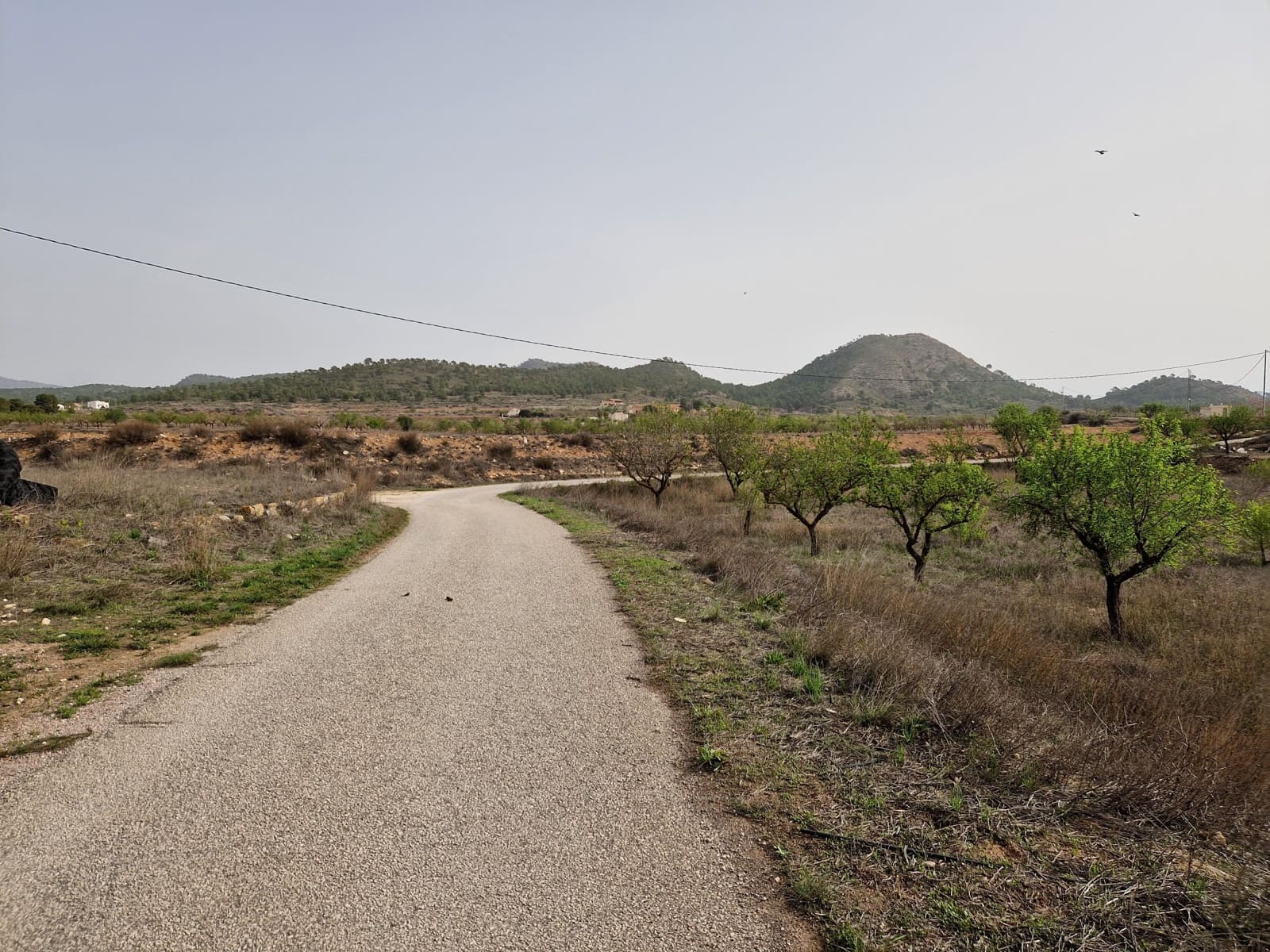3 soverom Finca/Herregård til salgs i Ubeda med svømmebasseng - € 119 900 (Ref: 6758885)