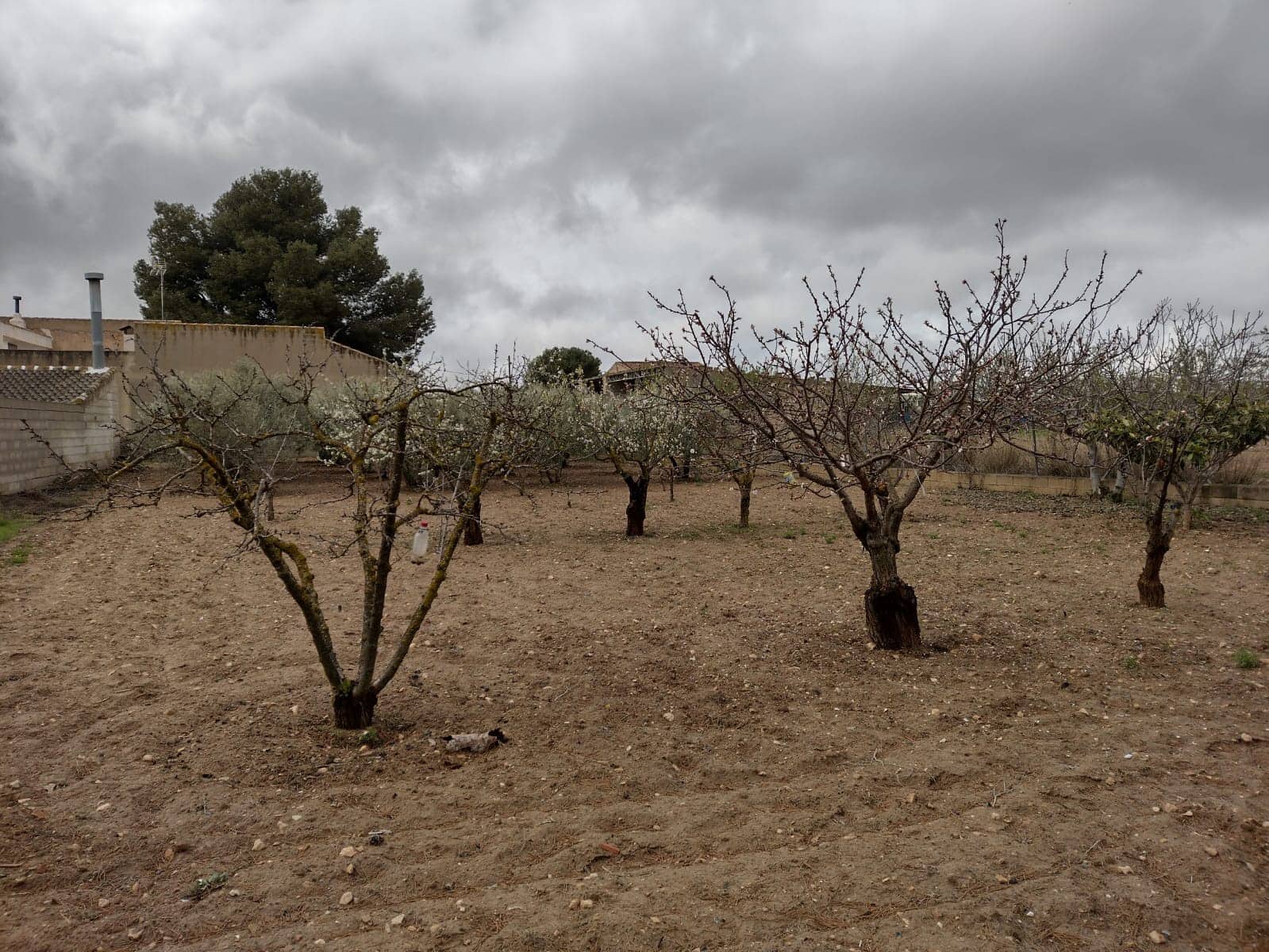 Ubebygd land til salgs i Rodriguillo - € 31 000 (Ref: 6784530)