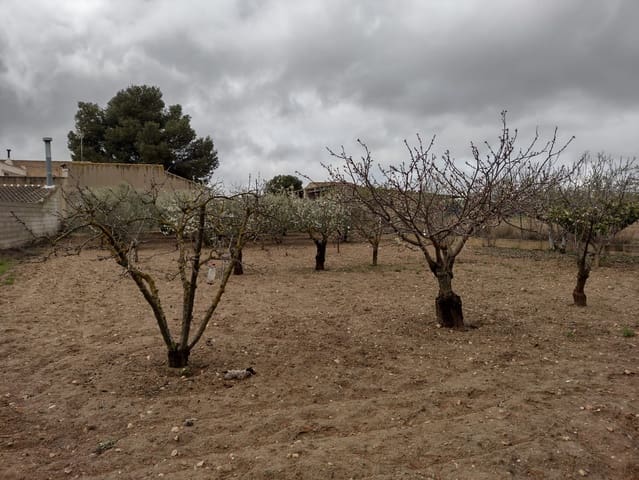 Undeveloped Land for sale in Rodriguillo, Pinoso - € 31,000 (Ref: 6784530)