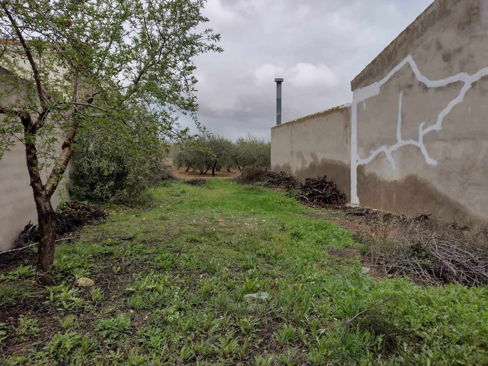 Ubebygd land til salgs i Rodriguillo - € 31 000 (Ref: 6784530)