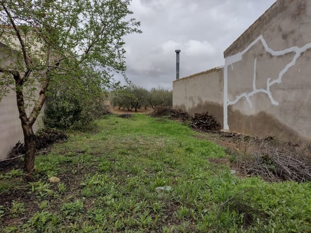 Undeveloped Land for sale in Rodriguillo, Pinoso - € 31,000 (Ref: 6784530)