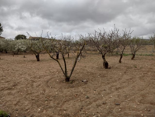 Undeveloped Land for sale in Rodriguillo, Pinoso - € 31,000 (Ref: 6784530)