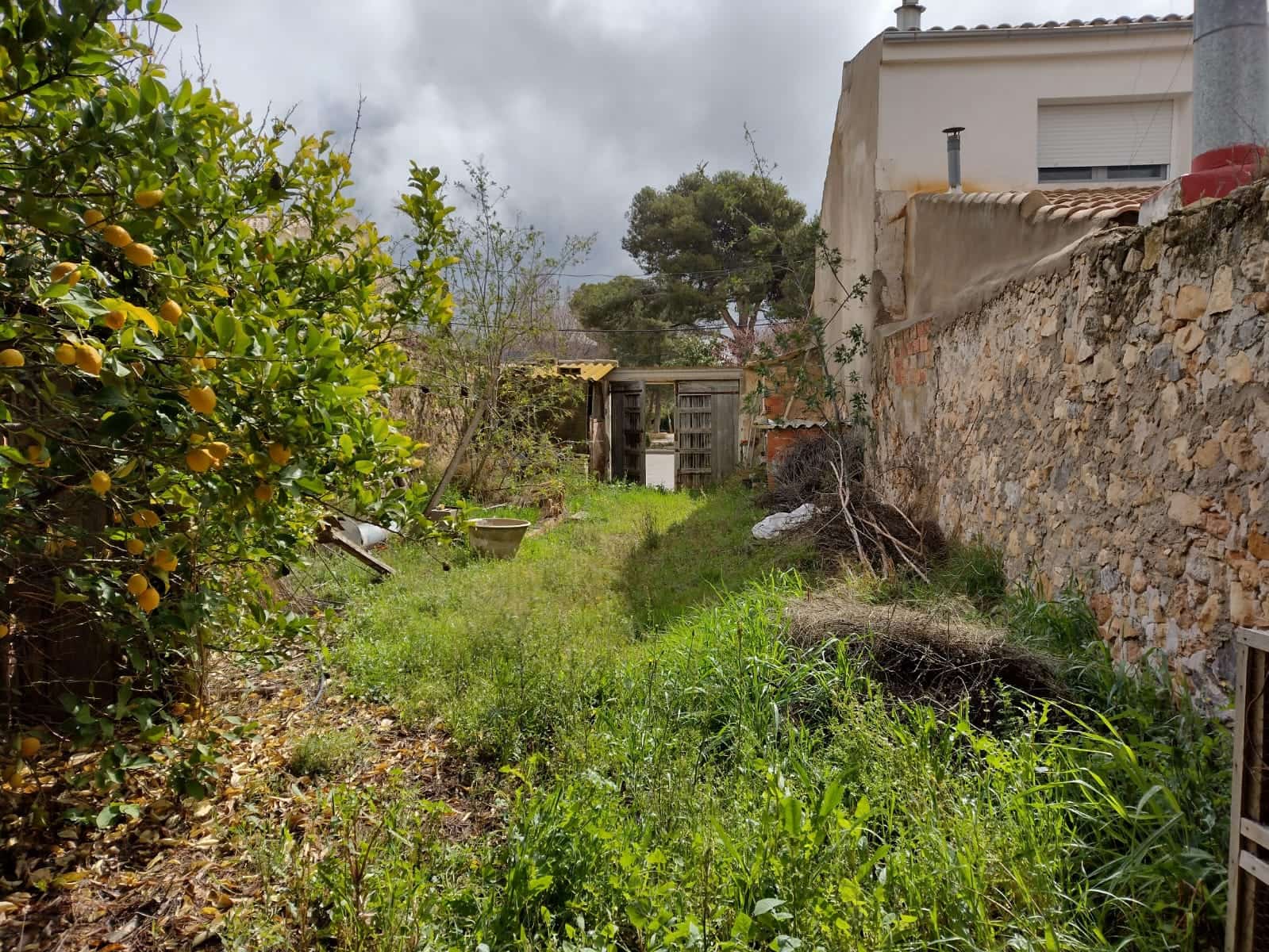 Ubebygd land til salgs i Rodriguillo - € 31 000 (Ref: 6784530)