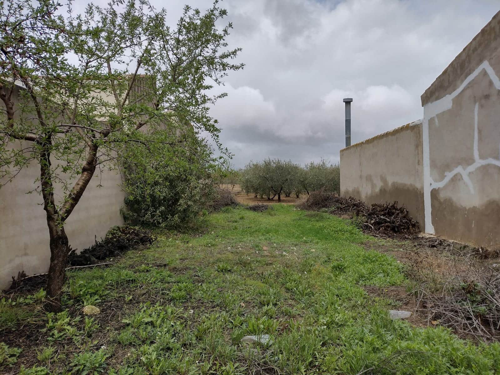 Ubebygd land til salgs i Rodriguillo - € 31 000 (Ref: 6784530)