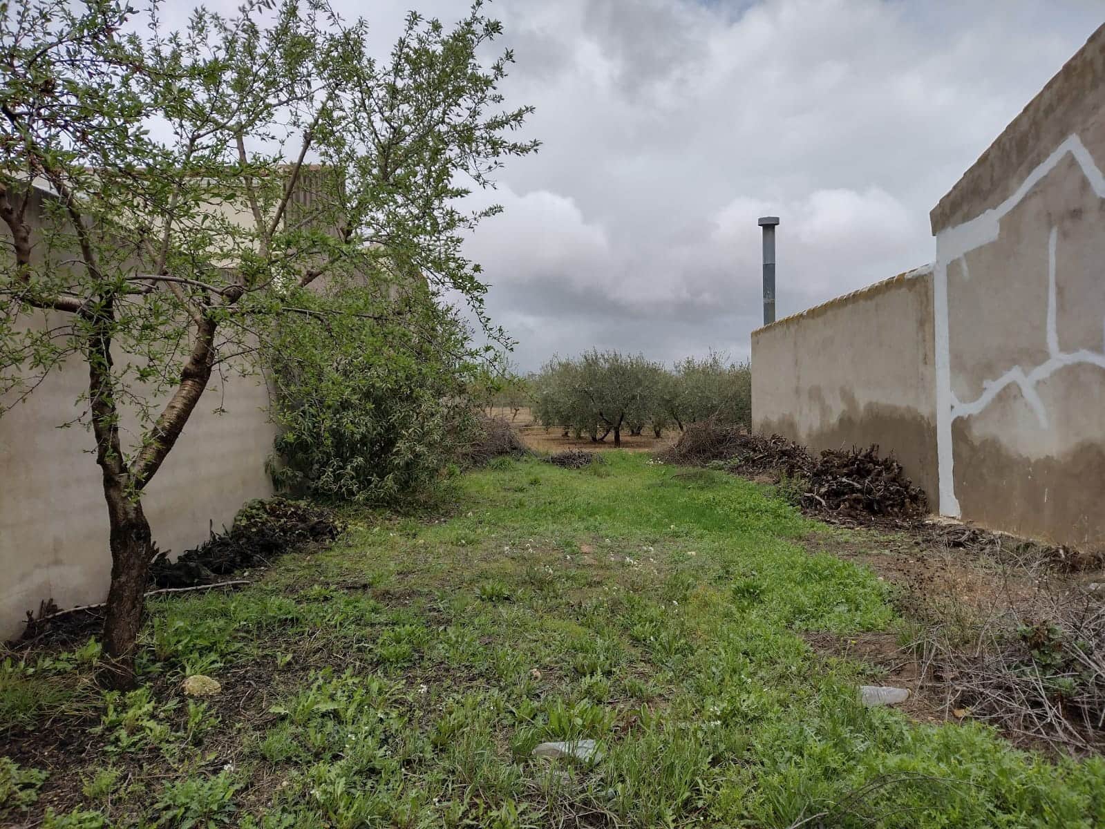 Teren niezagospodarowany na sprzedaż w Rodriguillo - 85 000 € (Ref: 6784530)