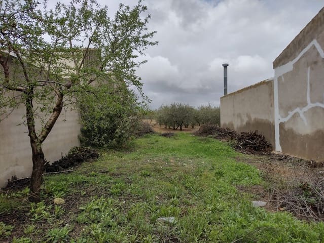 Teren niezagospodarowany na sprzedaż w Rodriguillo, Pinoso - 85 000 € (Ref: 6784530)