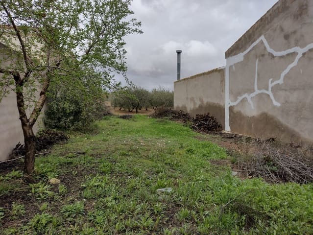 Teren niezagospodarowany na sprzedaż w Rodriguillo, Pinoso - 85 000 € (Ref: 6784530)
