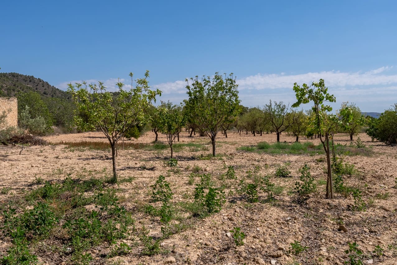 6 chambre Finca/Maison de Campagne à vendre à Chinorlet / Xinorlet avec piscine - 249 995 € (Ref: 6841179)