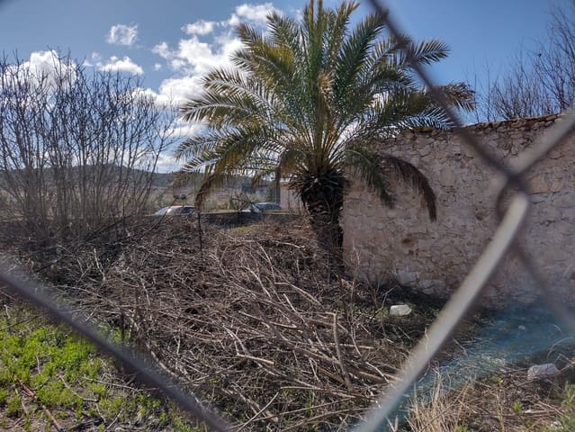 Undeveloped Land for sale in Rodriguillo, Pinoso - € 43,000 (Ref: 6859011)