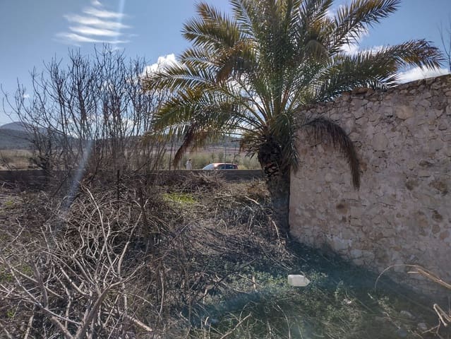 Undeveloped Land for sale in Rodriguillo, Pinoso - € 43,000 (Ref: 6859011)