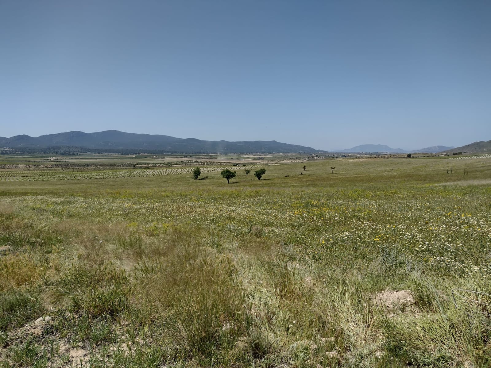 4 soveværelse Finca/Landehus til salg i Jumilla med swimmingpool - € 160.000 (Ref: 6860336)