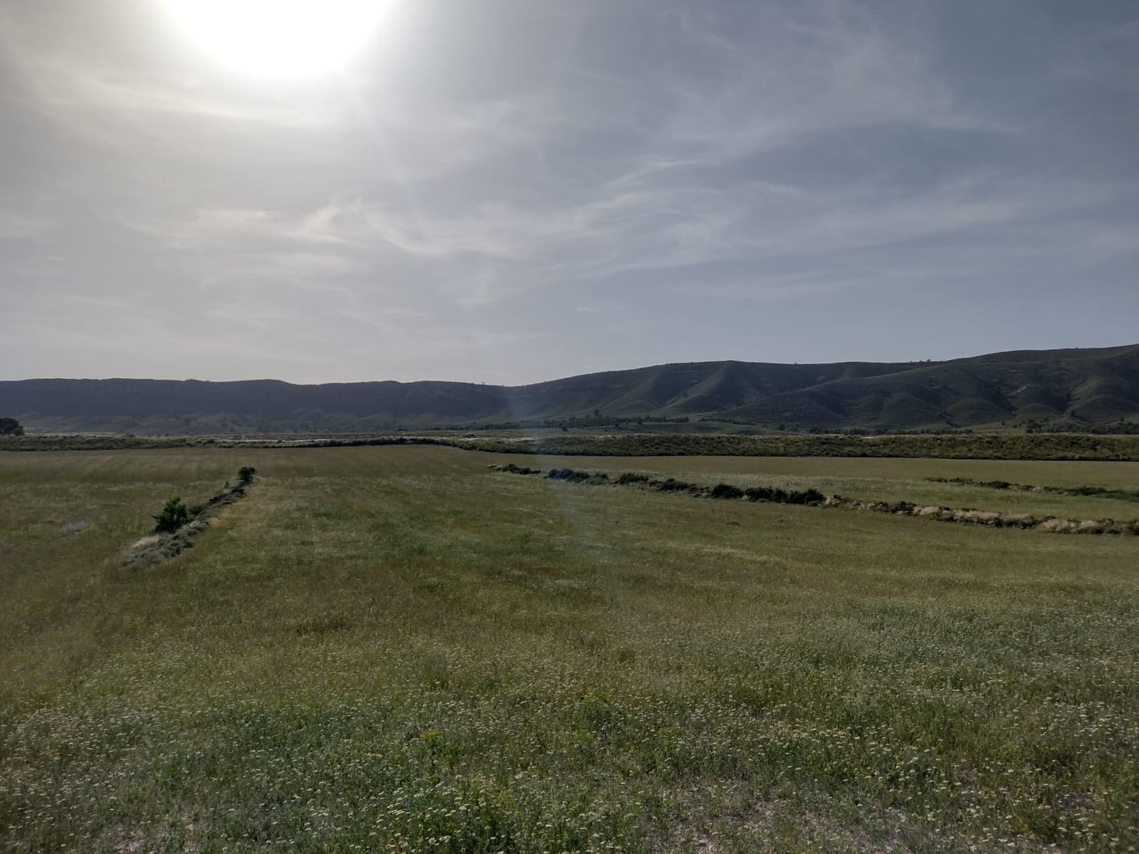 3 bedroom Finca/Country House for sale in Jumilla with pool - € 200,000 (Ref: 6869393)